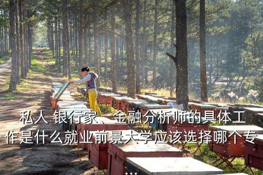  私人 銀行家、金融分析師的具體工作是什么就業(yè)前景大學應該選擇哪個專...