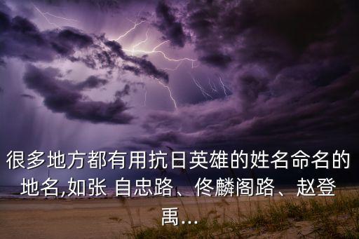很多地方都有用抗日英雄的姓名命名的地名,如張 自忠路、佟麟閣路、趙登禹...