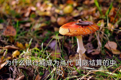 國(guó)際業(yè)務(wù)成為商業(yè)銀行,商業(yè)銀行的國(guó)際業(yè)務(wù)讀書筆記