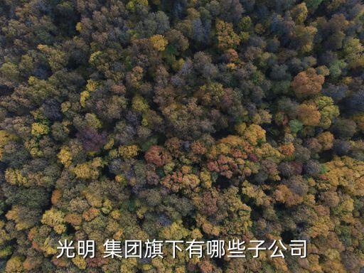 上海水產集團整體上市,上海糖酒集團整體上市