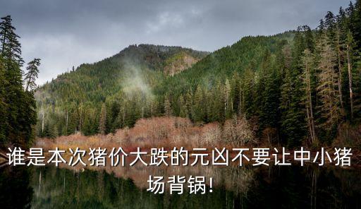 誰是本次豬價(jià)大跌的元兇不要讓中小豬場(chǎng)背鍋!