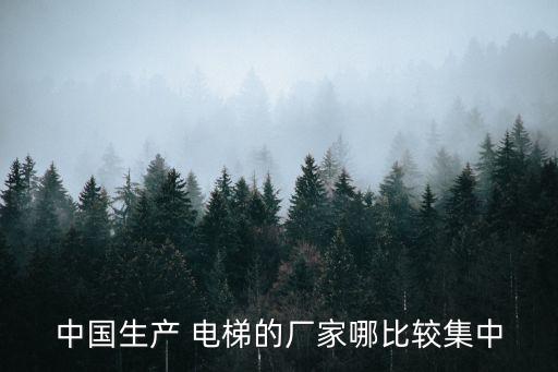中國生產 電梯的廠家哪比較集中