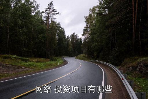互聯(lián)網投資是什么,中國互聯(lián)網投資