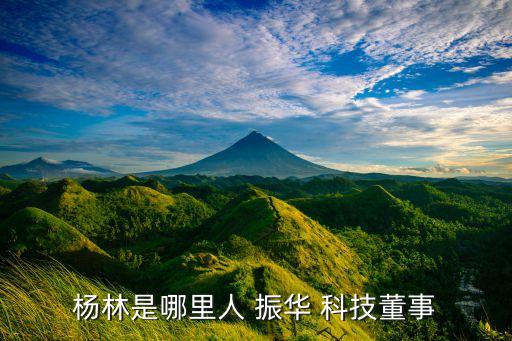 中國(guó)振華科技股份有限公司
