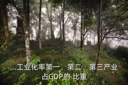 ...工業(yè)化率第一、第二、第三產(chǎn)業(yè)占GDP的 比重