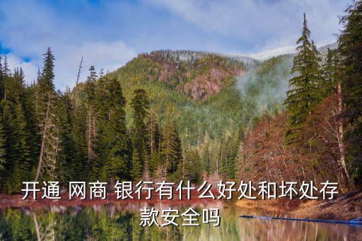 開通 網商 銀行有什么好處和壞處存款安全嗎