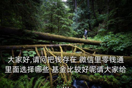 大家好,請(qǐng)問把錢存在 微信里零錢通里面選擇哪些 基金比較好呢請(qǐng)大家給...