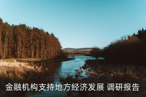 金融機構支持地方經濟發(fā)展 調研報告
