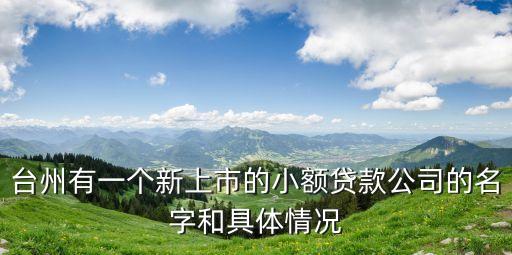 臺州有一個(gè)新上市的小額貸款公司的名字和具體情況