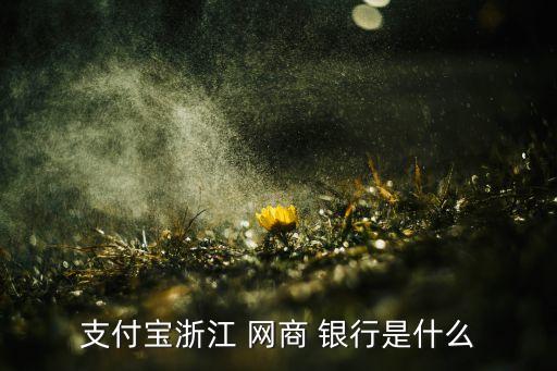 支付寶浙江 網商 銀行是什么