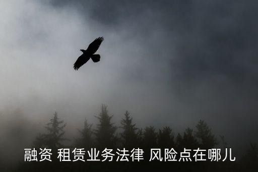 融資租賃公司風險管理制度,公司經(jīng)營風險管理制度