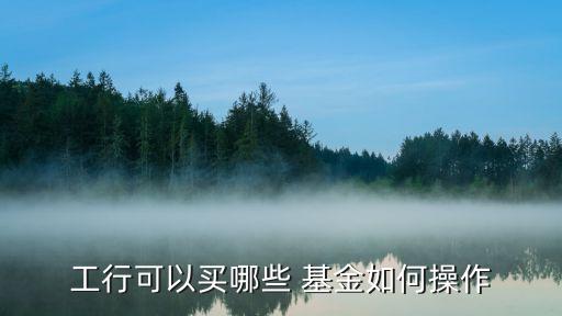 工行可以買(mǎi)哪些 基金如何操作