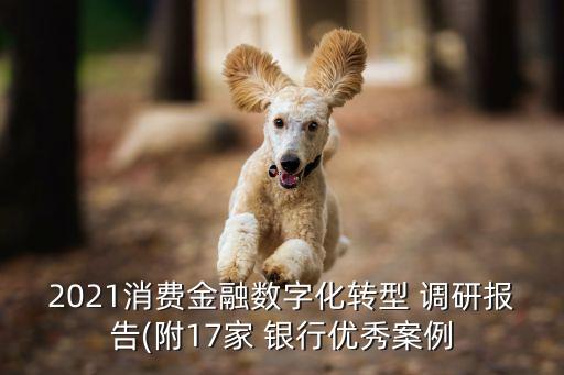 2021消費金融數(shù)字化轉型 調研報告(附17家 銀行優(yōu)秀案例