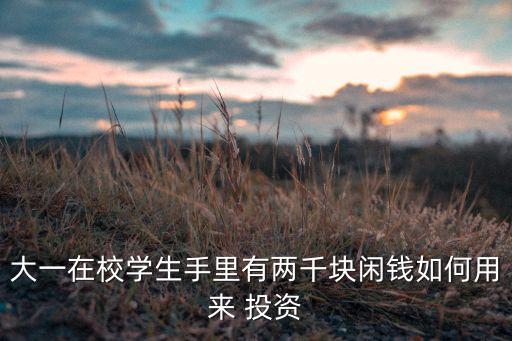 大一在校學(xué)生手里有兩千塊閑錢如何用來(lái) 投資