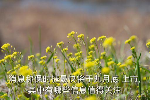 消息稱(chēng)保時(shí)捷最快將于九月底 上市,其中有哪些信息值得關(guān)注