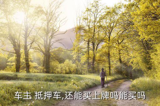 車(chē)主 抵押車(chē),還能買(mǎi)上牌嗎能買(mǎi)嗎