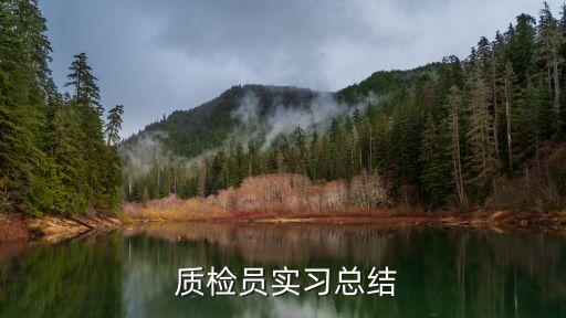  質檢員實習總結