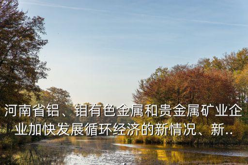 河南省鋁、鉬有色金屬和貴金屬礦業(yè)企業(yè)加快發(fā)展循環(huán)經(jīng)濟(jì)的新情況、新...