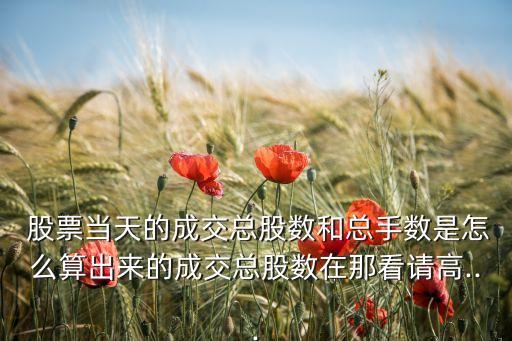  股票當(dāng)天的成交總股數(shù)和總手?jǐn)?shù)是怎么算出來的成交總股數(shù)在那看請(qǐng)高...