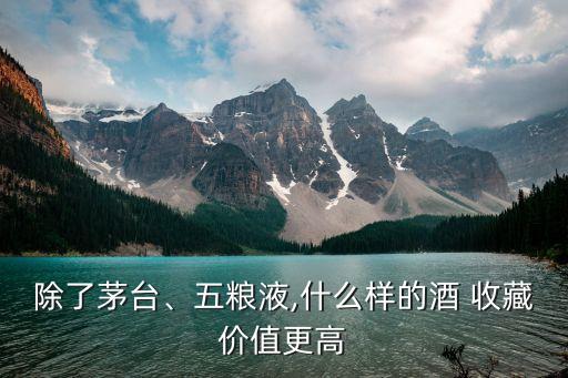 除了茅臺(tái)、五糧液,什么樣的酒 收藏價(jià)值更高