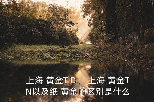  上海 黃金T D、 上海 黃金T N以及紙 黃金的區(qū)別是什么