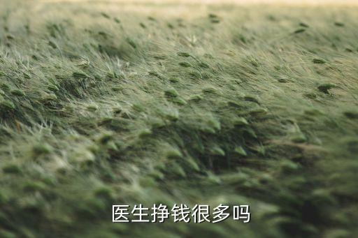  醫(yī)生掙錢(qián)很多嗎