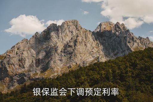 銀保監(jiān)會下調預定利率