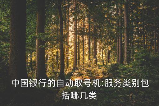  中國銀行的自動(dòng)取號(hào)機(jī):服務(wù)類別包括哪幾類