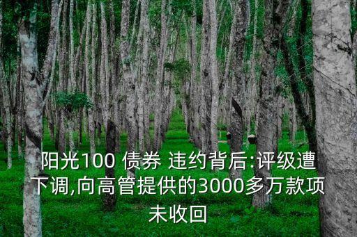 陽光100 債券 違約背后:評級遭下調(diào),向高管提供的3000多萬款項(xiàng)未收回