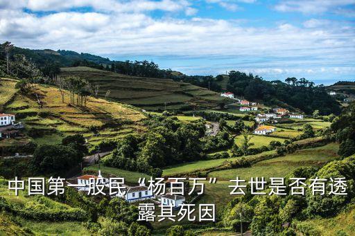 中國(guó)第一股民“楊百萬”去世是否有透露其死因