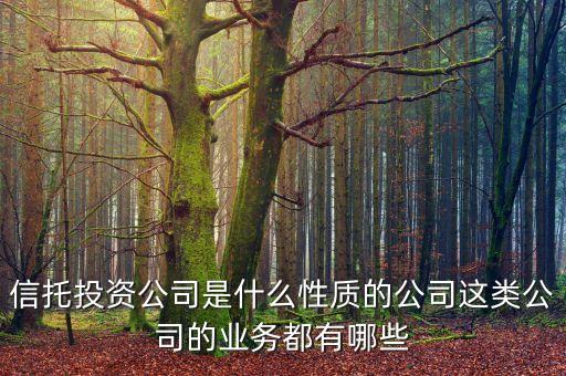 信托投資公司是什么性質的公司這類公司的業(yè)務都有哪些