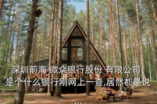 微眾金融服務有限公司,微貸(杭州)金融服務有限公司