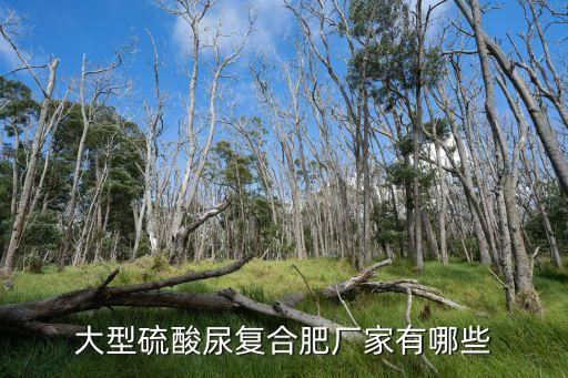 大型硫酸尿復合肥廠家有哪些
