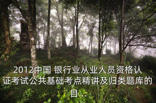 2012中國 銀行業(yè)從業(yè)人員資格認(rèn)證考試公共基礎(chǔ)考點精講及歸類題庫的目...