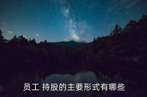股票期權(quán)與員工持股計(jì)劃,美國股票期權(quán)計(jì)劃的類型不包括