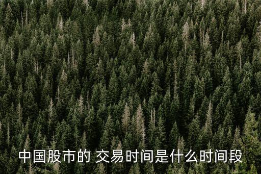 中國(guó)股市的 交易時(shí)間是什么時(shí)間段