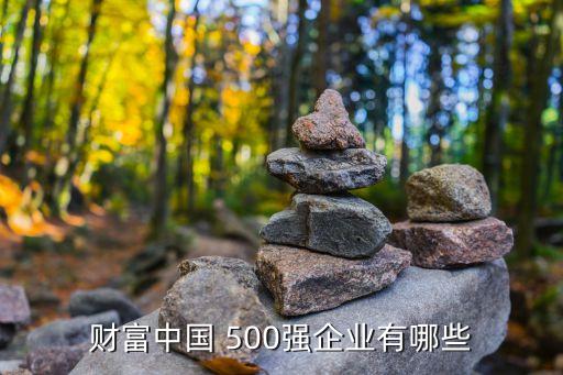財富中國 500強(qiáng)企業(yè)有哪些