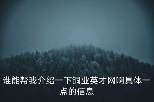 誰(shuí)能幫我介紹一下銅業(yè)英才網(wǎng)啊具體一點(diǎn)的信息
