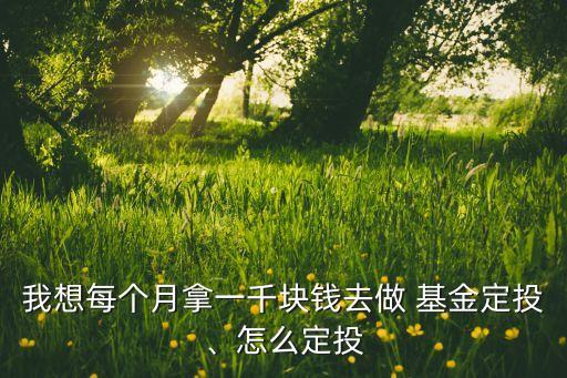 我想每個(gè)月拿一千塊錢(qián)去做 基金定投、怎么定投