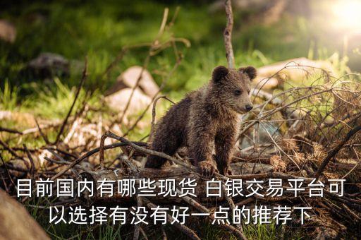 目前國內(nèi)有哪些現(xiàn)貨 白銀交易平臺可以選擇有沒有好一點(diǎn)的推薦下