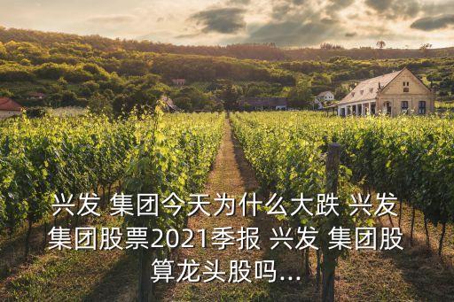 興發(fā)集團(tuán)最新動(dòng)態(tài)