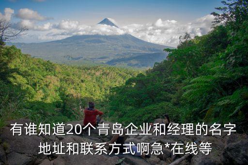 有誰知道20個(gè)青島企業(yè)和經(jīng)理的名字 地址和聯(lián)系方式啊急*在線等