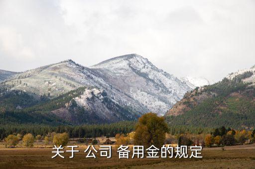 關于 公司 備用金的規(guī)定