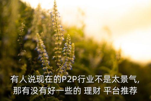 有人說現(xiàn)在的P2P行業(yè)不是太景氣,那有沒有好一些的 理財(cái) 平臺(tái)推薦