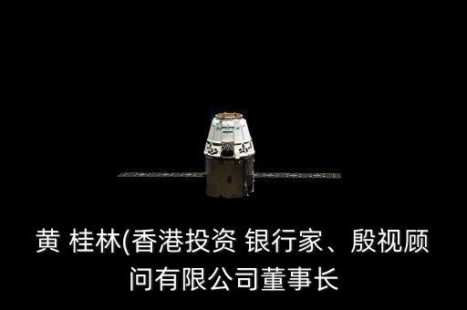 黃 桂林(香港投資 銀行家、殷視顧問有限公司董事長