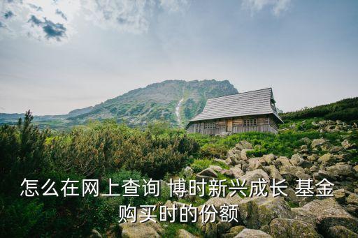 怎么在網(wǎng)上查詢 博時(shí)新興成長(zhǎng) 基金購(gòu)買(mǎi)時(shí)的份額