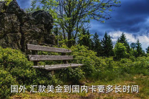上海銀行支付寶國(guó)際匯款,在支付寶上申請(qǐng)上海銀行信用卡好過(guò)嗎