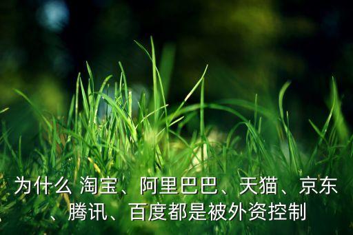 為什么 淘寶、阿里巴巴、天貓、京東、騰訊、百度都是被外資控制