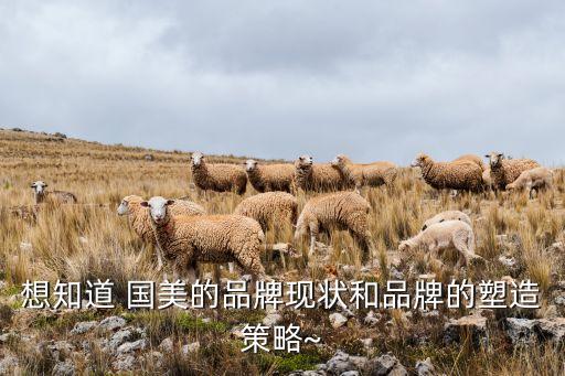 國(guó)美集團(tuán)借殼上市,國(guó)美借殼上市后使用了哪些再融資工具