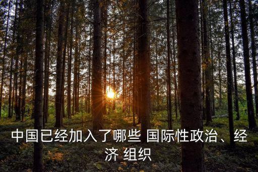中國(guó)已經(jīng)加入了哪些 國(guó)際性政治、經(jīng)濟(jì) 組織